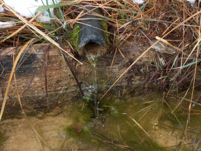 Fuente de Hoya Cantil - imagen 4