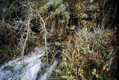 Fuente del Huerto de Juan Ancho - imagen 1