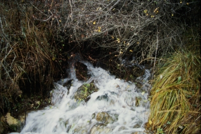 Fuente del Huerto de Juan Ancho - imagen 3