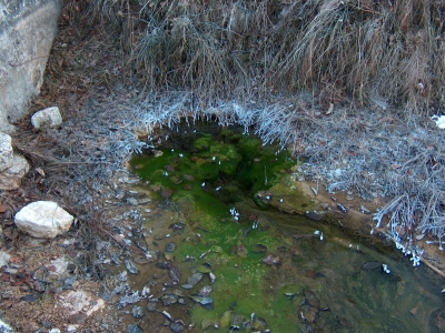 Fuente del Huerto del Hoyo - imagen 4