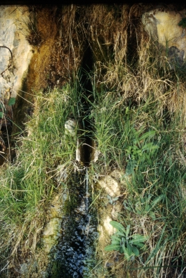 Fuente la cual Miguel de Cuenca - imagen 2