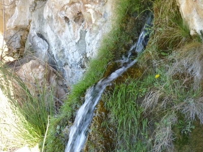 Fuente la cual Miguel de Cuenca - imagen 11