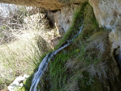 Fuente la cual Miguel de Cuenca - imagen 12