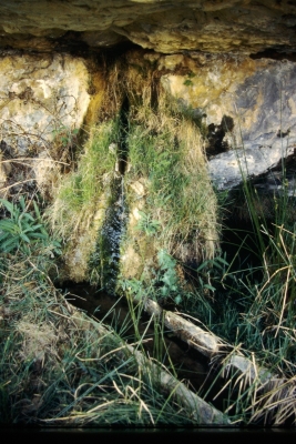 Fuente la cual Miguel de Cuenca - imagen 3