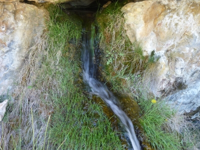 Fuente la cual Miguel de Cuenca - imagen 5