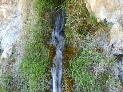 Fuente la cual Miguel de Cuenca - imagen 7