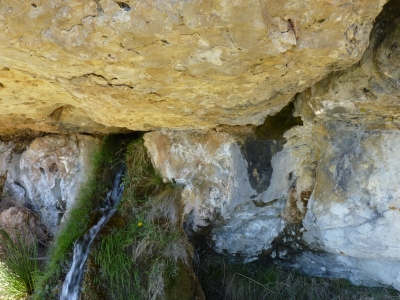 Fuente la cual Miguel de Cuenca - imagen 8