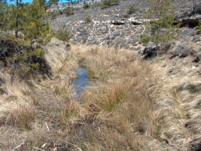 Fuente Juanlabrá - imagen 1
