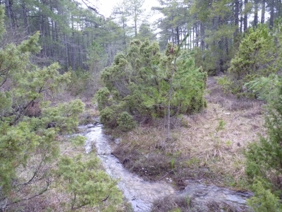 Fuente la Labrailla - imagen 2