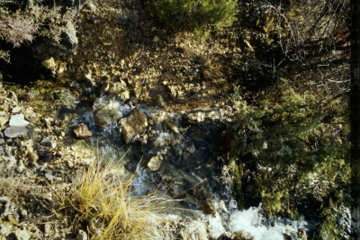 Fuente Lipao - imagen 1