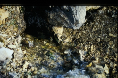 Fuente Lipao - imagen 3