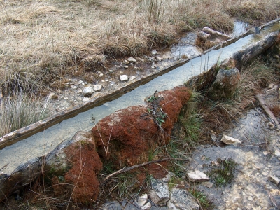 Fuente de la Losilla - imagen 6