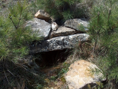 Fuente de la Majá del Carrascalejo - imagen 1