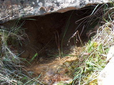 Fuente de la Majá del Carrascalejo - imagen 5