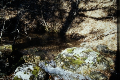 Fuente la Mentirosa - imagen 1