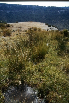 Fuente Miguel - imagen 3