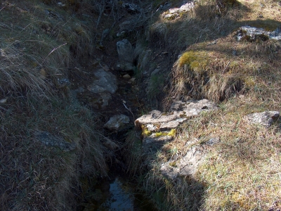 Fuente del Mosquito I - imagen 2