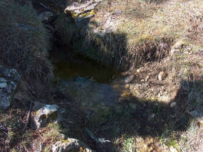 Fuente del Mosquito I - imagen 3