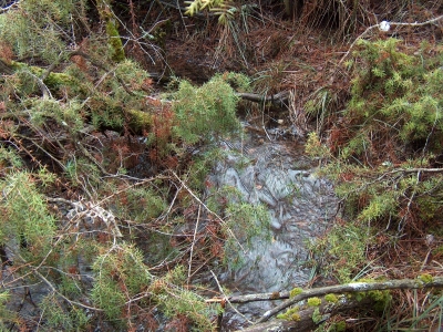 Fuente de la Nogueruela I - imagen 2