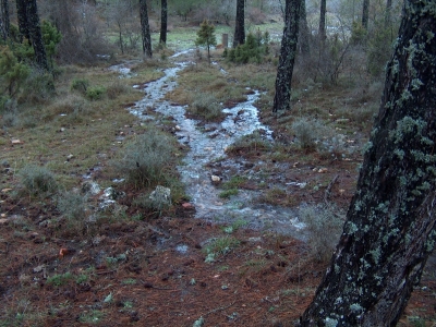 Fuente de la Nogueruela I - imagen 3