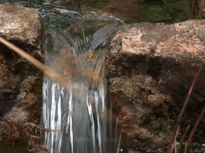 Fuente de la Nogueruela I - imagen 6