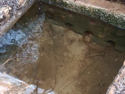 Fuente de la Nogueruela II - imagen 3