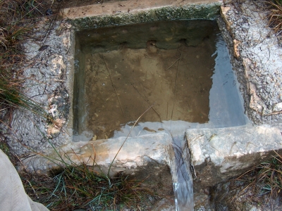 Fuente de la Nogueruela II - imagen 4