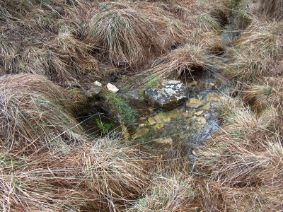 Fuente Pajar de Tendillo - imagen 1