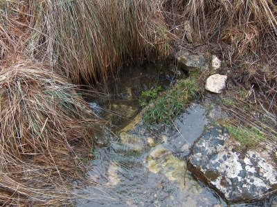 Fuente Pajar de Tendillo - imagen 3