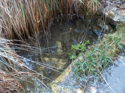 Fuente Pajar de Tendillo - imagen 4