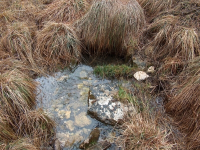 Fuente Pajar de Tendillo - imagen 5
