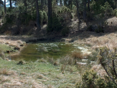 Pozo de la Cañada del Mosquito - imagen 1