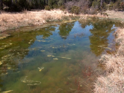 Pozo de la Cañada del Mosquito - imagen 3
