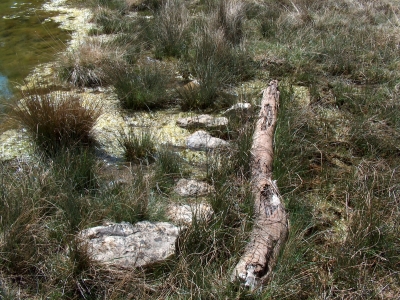 Pozo de la Cañada del Mosquito - imagen 4