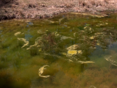 Pozo de la Cañada del Mosquito - imagen 5