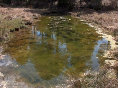 Pozo de la Cañada del Mosquito - imagen 6