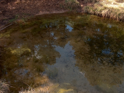 Pozo de la Cañada del Mosquito - imagen 7