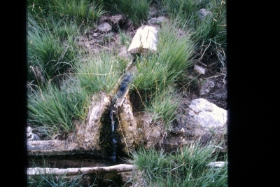 Fuente del Pumar - imagen 1