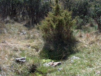 Fuente de la Raya - imagen 1