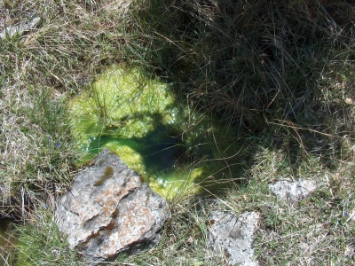 Fuente de la Raya - imagen 2
