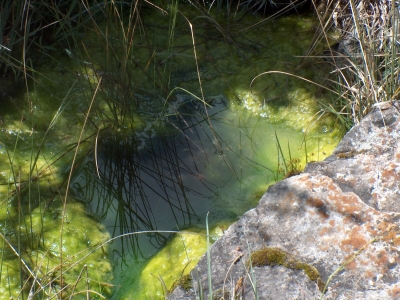 Fuente de la Raya - imagen 4