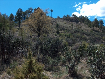 Fuente de la Raya - imagen 5