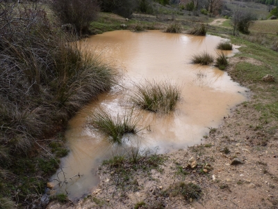 Fuente reguero el Vaso - imagen 1