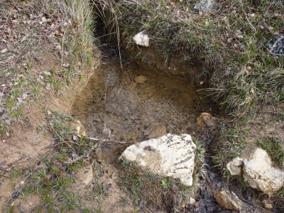 Fuente reguero el Vaso - imagen 2