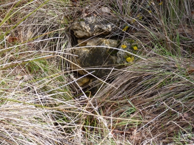 Fuente reguero el Vaso - imagen 3