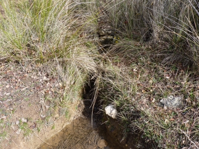 Fuente reguero el Vaso - imagen 4