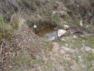 Fuente reguero el Vaso - imagen 5