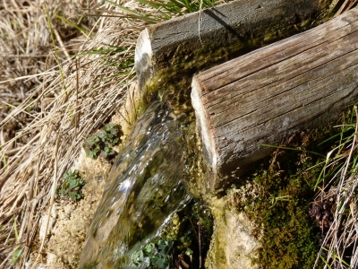 Fuente del Rincón Grande - imagen 3