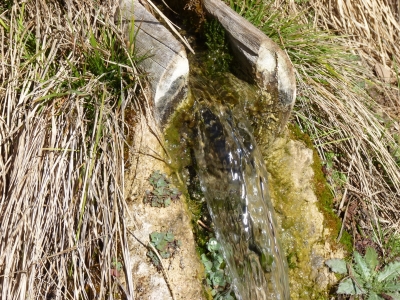 Fuente del Rincón Grande - imagen 5