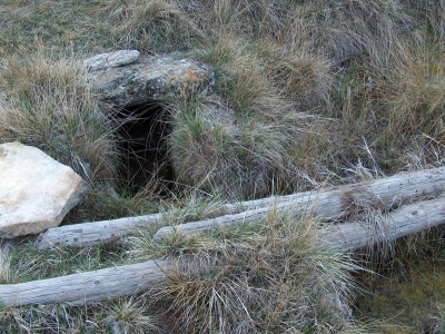 Fuente de la Risquilla de la Cañada del Mosquito - imagen 1